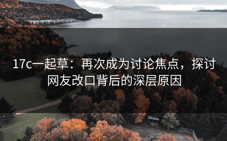 17c一起草：再次成为讨论焦点，探讨网友改口背后的深层原因